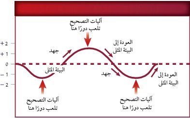 منحنى